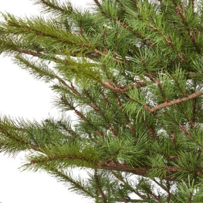 Image showing  7 ft. Vancouver Mountain Pine Artificial Christmas Tree with Bendable Branches
