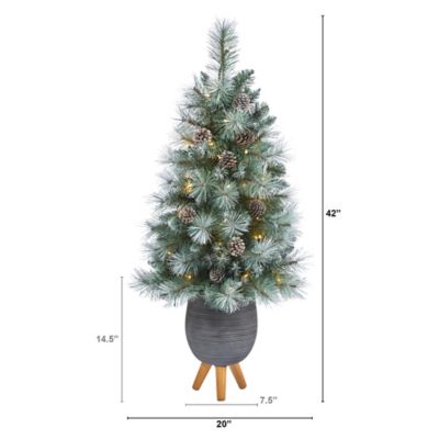 Image showing  3.5 ft. Frosted Tip British Columbia Mountain Pine Artificial Christmas Tree in Gray Planter with Stand