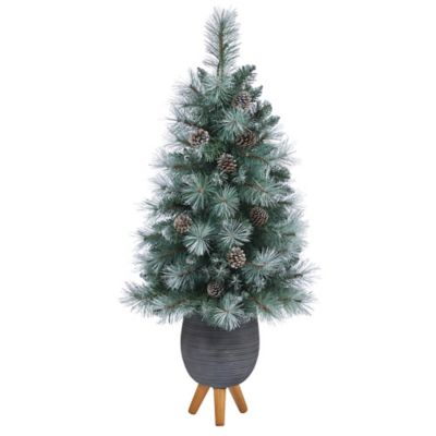 Image showing  3.5 ft. Frosted Tip British Columbia Mountain Pine Artificial Christmas Tree in Gray Planter with Stand