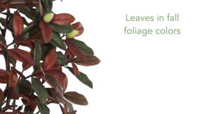 Image showing  6 ft. Fall Magnolia Artificial Tree