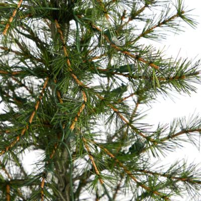Image showing  3 ft. Pre-Lit Artificial Christmas Tree in Burlap Base, Clear LED Lights