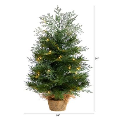 Image showing  2 ft. Pre-Lit Artificial Christmas Tree in Burlap Base, Warm White LED Lights