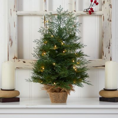 Image showing  2 ft. Pre-Lit Artificial Christmas Tree in Burlap Base, Warm White LED Lights