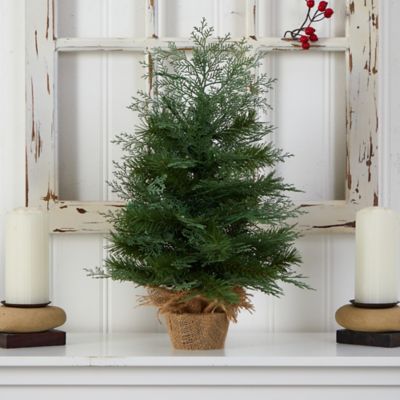 Image showing  2 ft. Pre-Lit Artificial Christmas Tree in Burlap Base, Warm White LED Lights