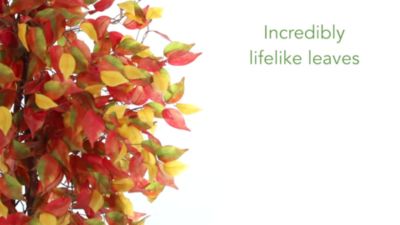 Image showing  5 ft. Artificial Ficus Tree, Autumn