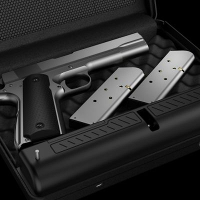 Image showing  Barikade Series 2, 1 Handgun, Biometric/Keypad, Pistol Safe, Black
