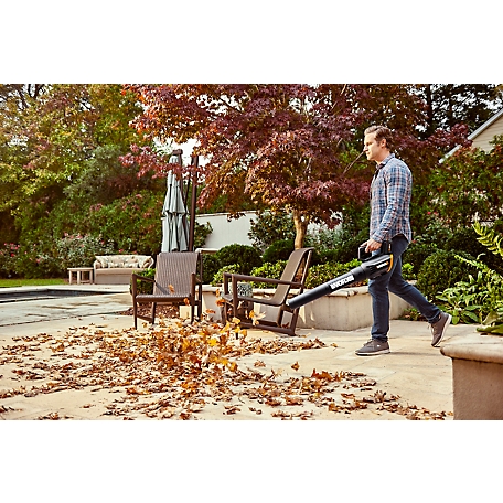 WORX 12 in. Cordless 20V Trimmer/Edger and Turbine Blower Combo Kit, 2.0Ah  Batteries and Dual-Quick Charger Included at Tractor Supply Co.