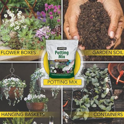 Image showing  4 qt. All-Purpose Potting Soil with Worm Castings