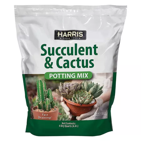 Harris 4 qt Soil for succulents and cacti Potting Soil