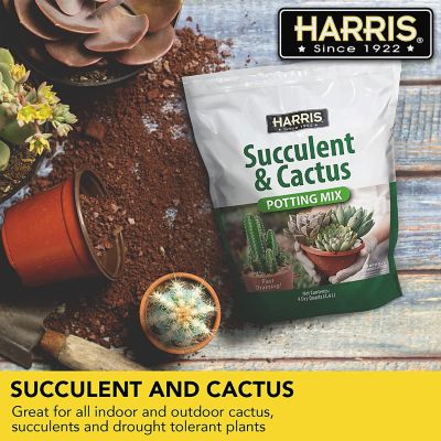 Image showing  4 qt. Succulent and Cactus Potting Soil