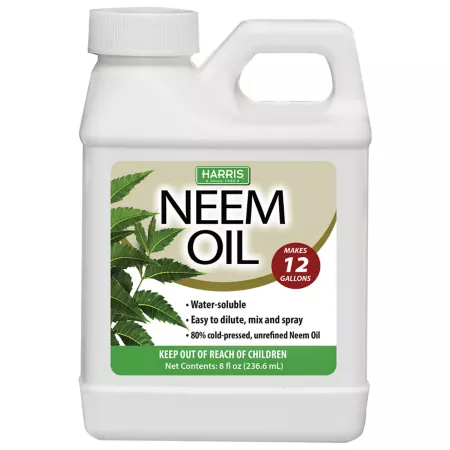 Harris 8 oz Cold-pressed water-soluble concentrate of Neem oil Lawn & Garden Disease Control