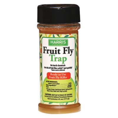 InVite Fruit Fly Traps 6 pk - Major Supply Corp