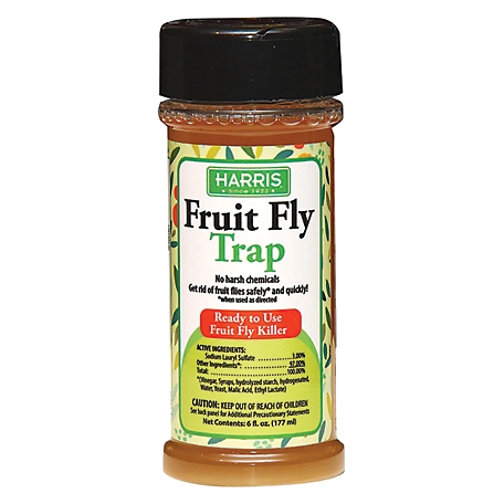 Harris Fruit Fly Trap, Fruit Fly Killer for Indoors, 6oz (1 pk.)