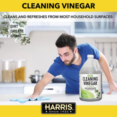 Image showing  128 oz. Cleaning Vinegar Eucalyptus Scented Multi-Surface Cleaner