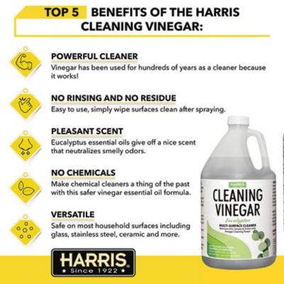 Image showing  128 oz. Cleaning Vinegar Eucalyptus Scented Multi-Surface Cleaner