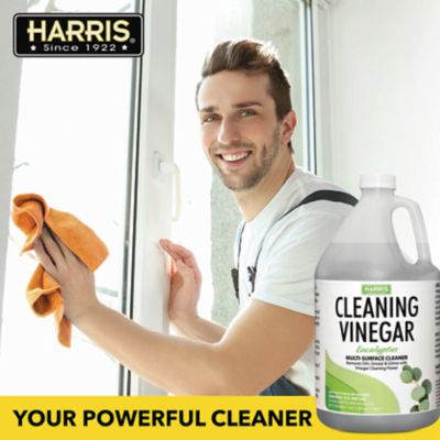 Image showing  128 oz. Cleaning Vinegar Eucalyptus Scented Multi-Surface Cleaner