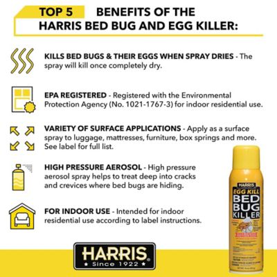 Image showing  16 oz. Bed Bug Egg Killer Aerosol Spray