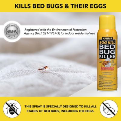 Image showing  16 oz. Bed Bug Egg Killer Aerosol Spray