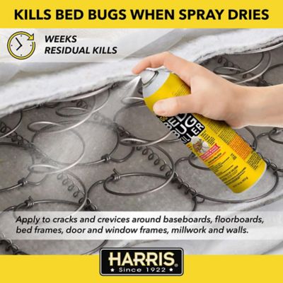 Image showing  16 oz. Bed Bug Egg Killer Aerosol Spray