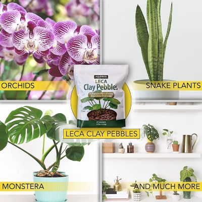 Image showing  2.5 lb. Leca Expanded Clay Pebbles