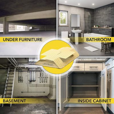 Image showing  Non-Toxic Glue Roach Traps, 10-Pack