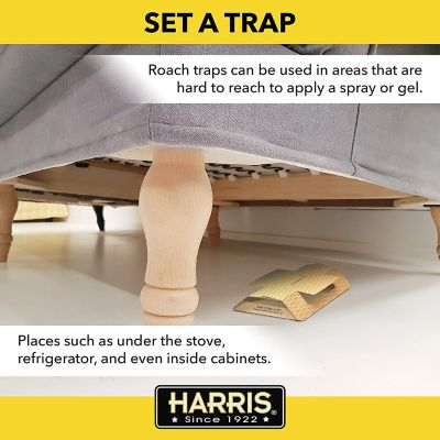 Image showing  Non-Toxic Glue Roach Traps, 10-Pack