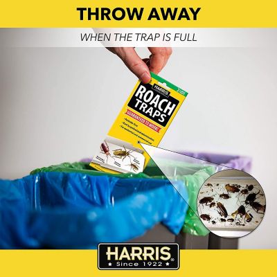 Image showing 5 th Harris Non-Toxic Glue Roach Traps, 10-Pack