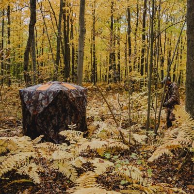 Image showing  2-Person Road Runner Portable Hunting Blind, Pop-Up Hub Blind, Bloodtrail Woodland