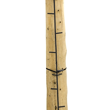 Rivers Edge Big Foot 20 ft. Connected Stick