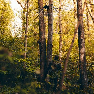 Image showing  20 ft. Big Foot Connected Tree Stand Climbing Stick