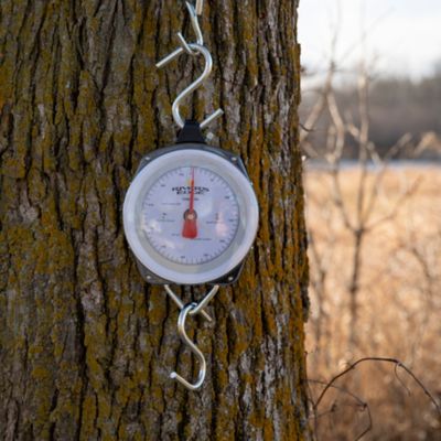 Image showing 1 th Rivers Edge 550 lb. Game Scale