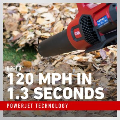 Image showing  60V MAX 605 CFM Brushless Leaf Blower - Battery Not Included