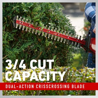 Image showing  60V MAX 24 in. Brushless Hedge Trimmer - Battery Not Included