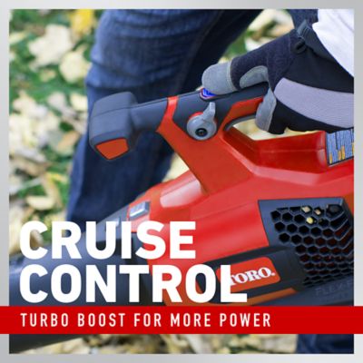 Image showing  60V MAX 2-Tool Combo Kit: 490 CFM Leaf Blower & 13 in. String Trimmer - 2.0Ah Battery Included