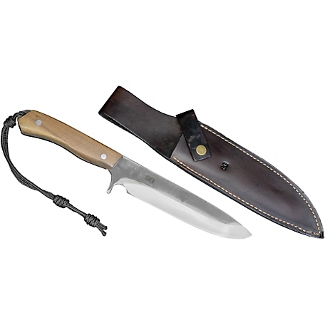 Brazilian Flame 8 in. Camper Trout Stainless Steel Knife with Full Tang Handle