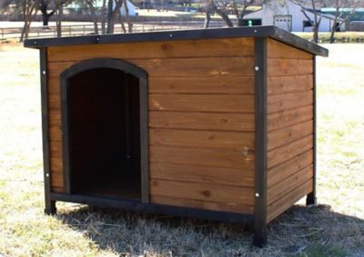 Dog houses hotsell at tsc