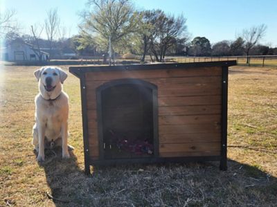 Image showing  Large Cabin-Style Indoor/Outdoor Wooden Dog House