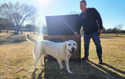 Image showing 5 th Zylina Large Cabin-Style Indoor/Outdoor Wooden Dog House