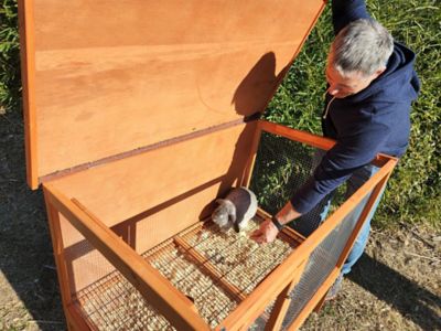 Image showing  1-Story Indoor/Outdoor Elevated Rabbit Hutch, 46 in. x 25 in. x 43 in.