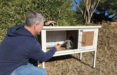 Image showing  XL Extreme Rabbit Hutch