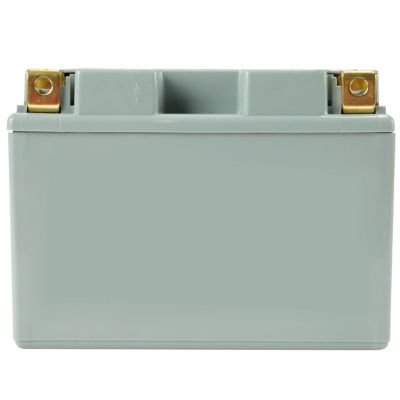 Image showing  12V 210 CCA Absorbent Glass Mat Replacement Battery, Fits Cub Cadet and Troy-Bilt