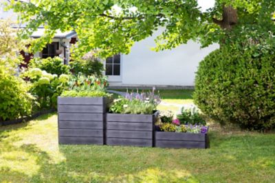 Image showing  Ergo Raised Garden Bed, Medium