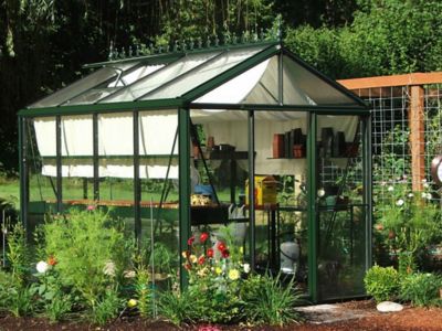 Image showing  10 ft. 2 in. x 7 ft. 9 in. Royal Victorian VI 23 Green Glass Greenhouse