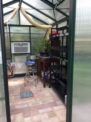 Image showing  10 ft. 2 in. L x 7 ft. 9 in. W Royal Victorian VI 23 Polycarbonate Greenhouse