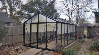 Exaco 10 ft. 2 in. x 19 ft. 11 in. Royal Victorian VI 36 Black Glass Greenhouse
