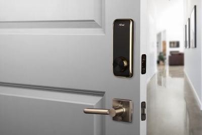 Alfred Gold DB2 Smart Deadbolt Door Lock With Key At Tractor Supply Co.