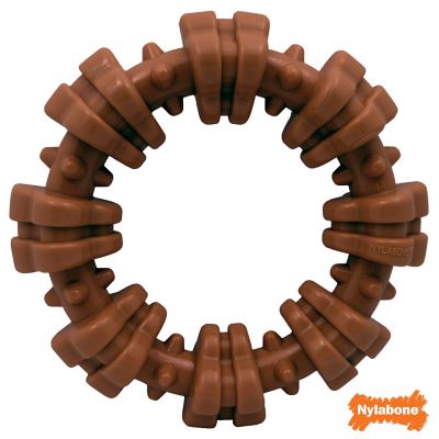 Image showing  DuraChew Dog Toy