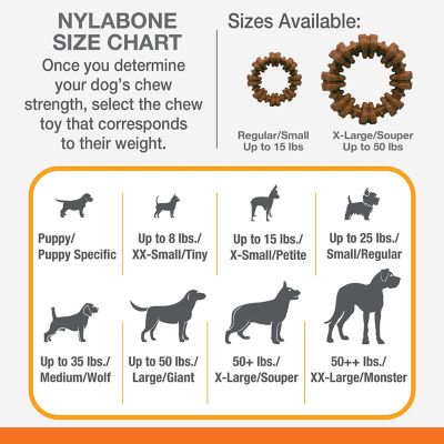 Image showing 6 th Nylabone DuraChew Dog Toy