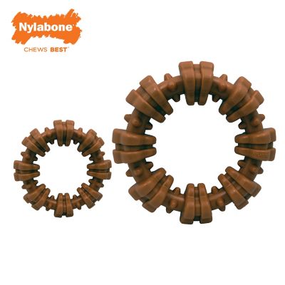 Image showing 8 th Nylabone DuraChew Dog Toy
