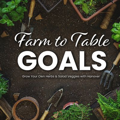 Image showing  51 in. x 75 in. Polycarbonate Walk-In Greenhouse, Walumframe Galvanized Steel Base Siding Door, Auto Vent Opener